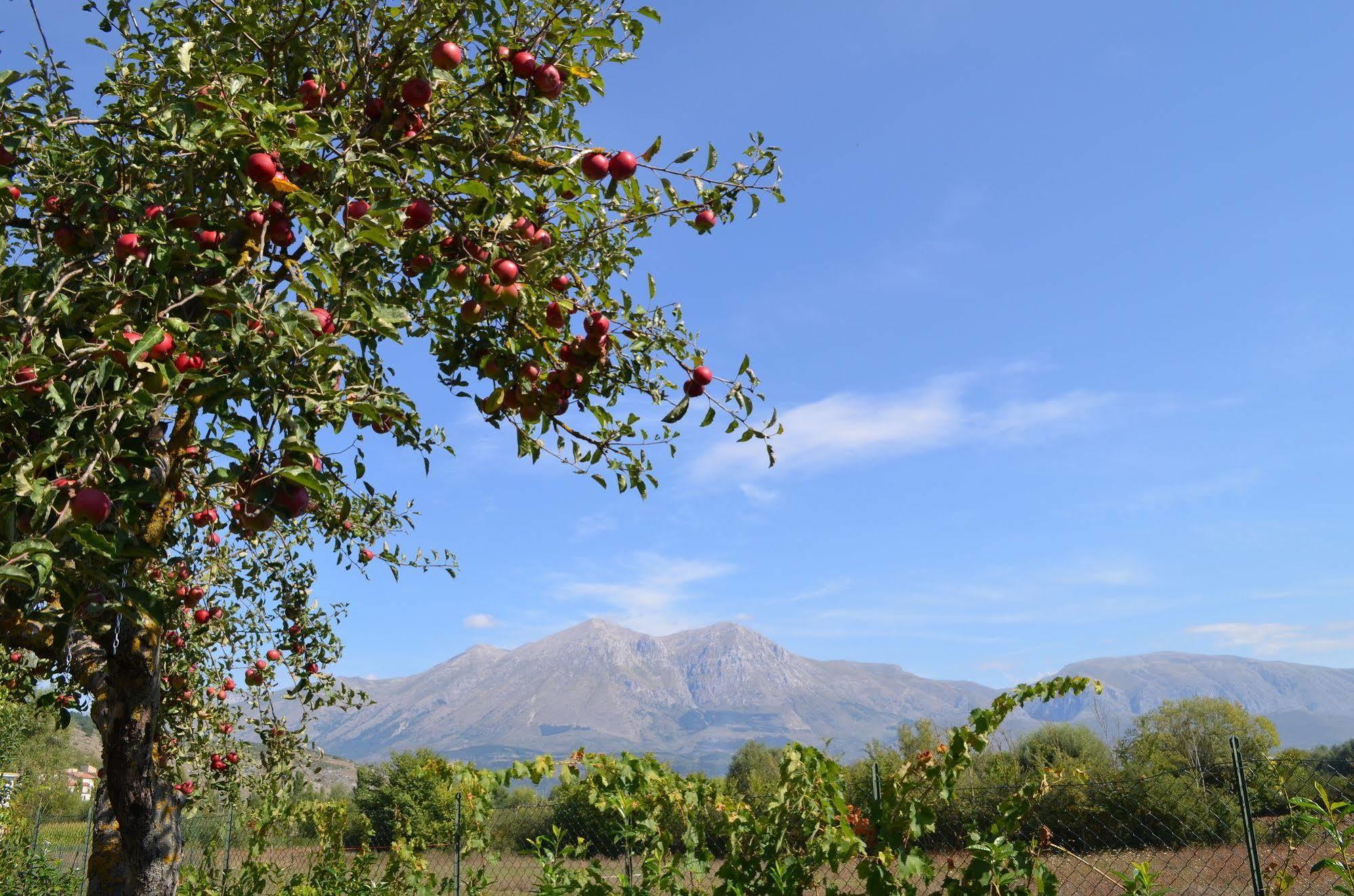 Agriturismo Villa Palentina Scurcola Marsicana Ngoại thất bức ảnh